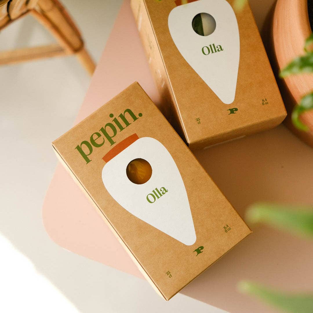 Pepin - Olla - Natural Watering Pots - Terracotta