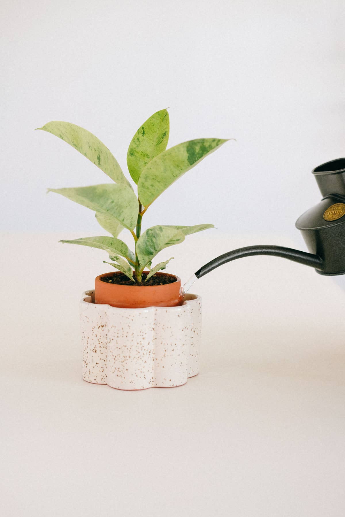Pepin - Self-Watering Pot Paula - Speckled White