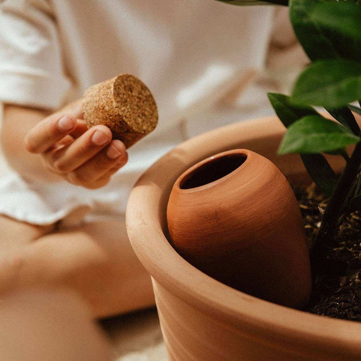 Pepin - Olla - Natural Watering Pots - Terracotta