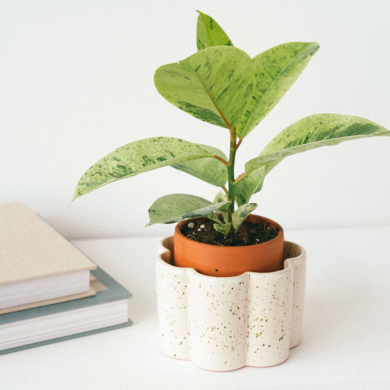 Pepin - Self-Watering Pot Paula - Speckled White