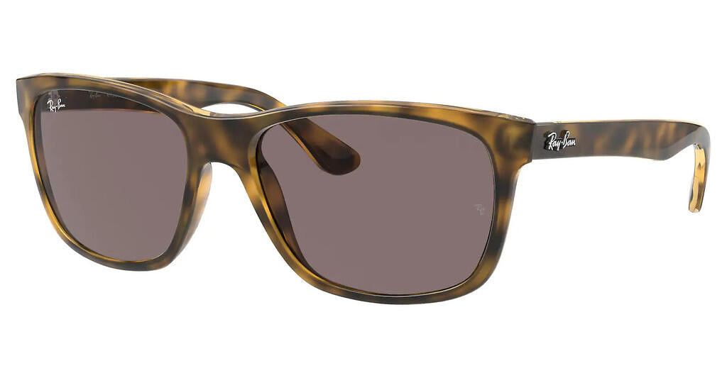 Ray-Ban RB4181 Sunglasses