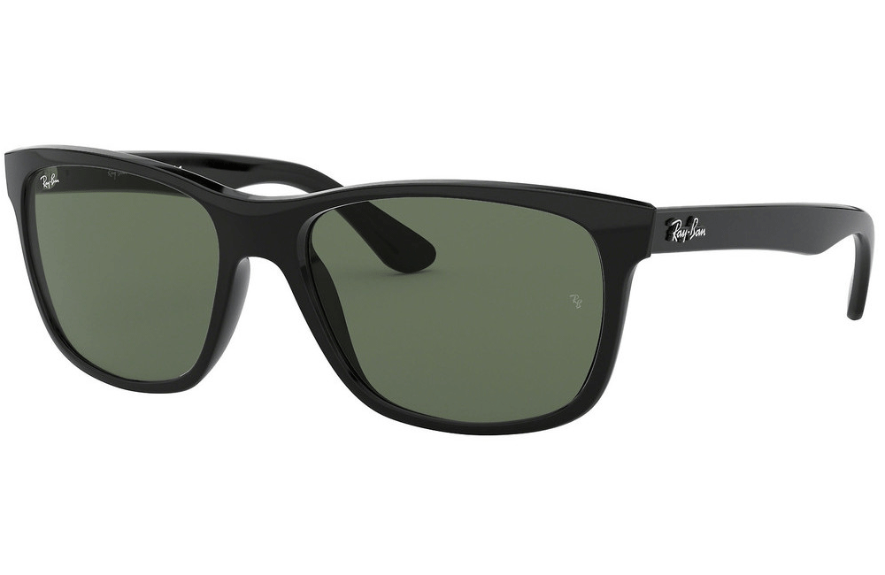 Ray-Ban RB4181 Sunglasses
