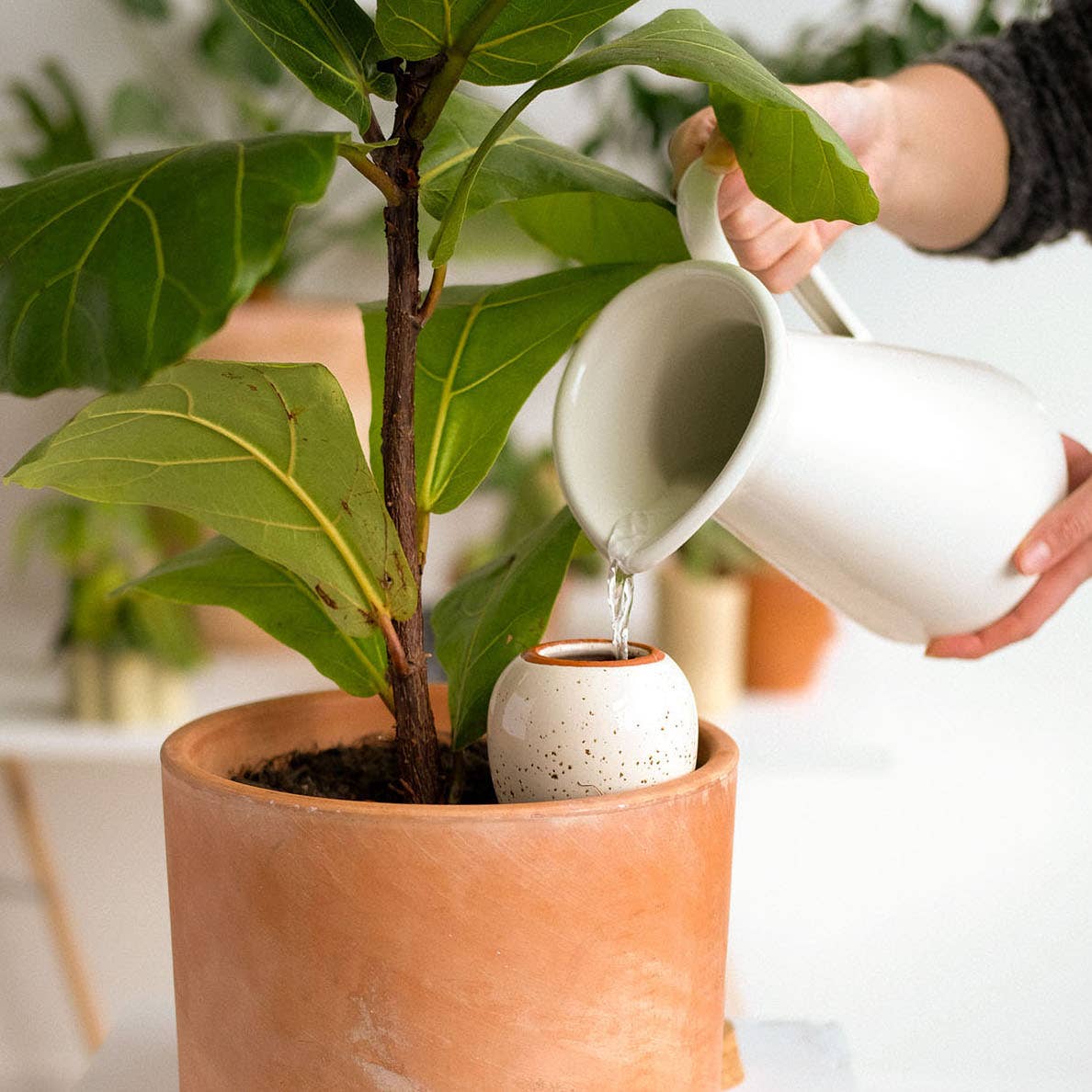 Pepin - Olla - Natural Watering Pots - Speckled white