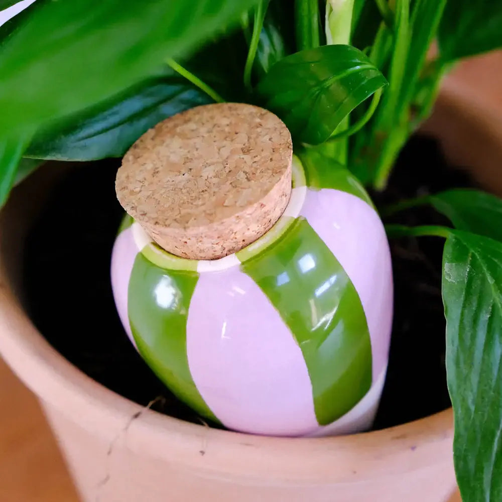 Pepin - Olla - Natural Watering Pots - Green and lilac stripes