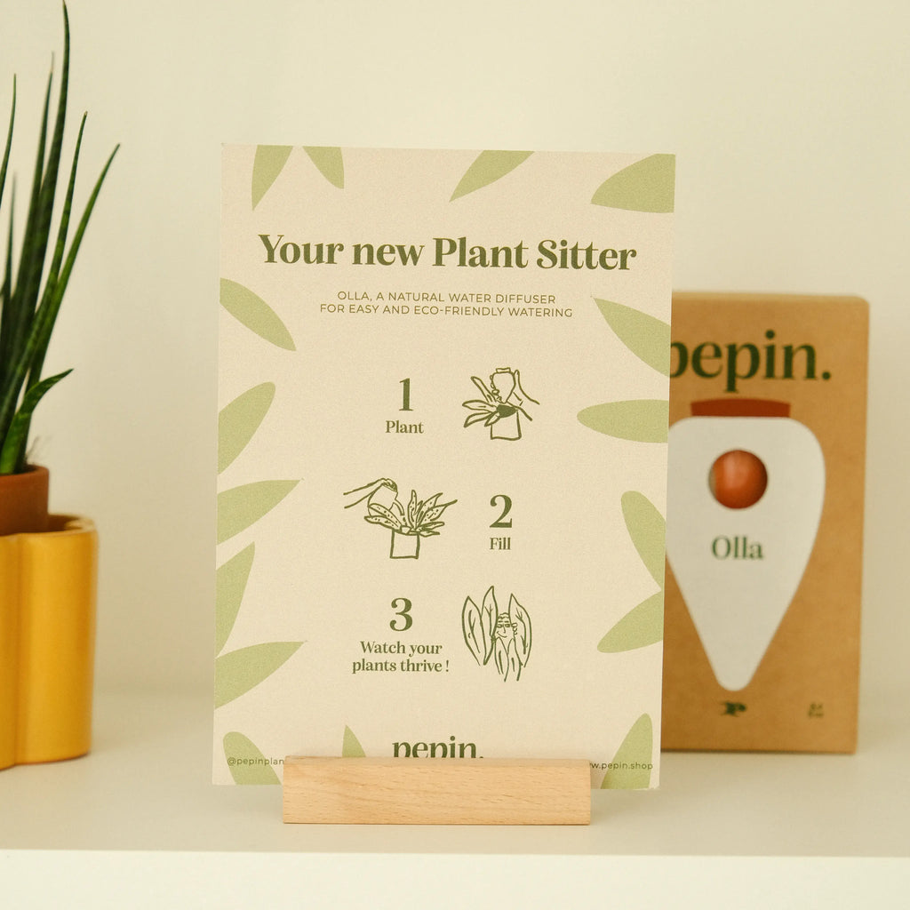 Pepin - Olla - Natural Watering Pots -  Green and ivory stripes