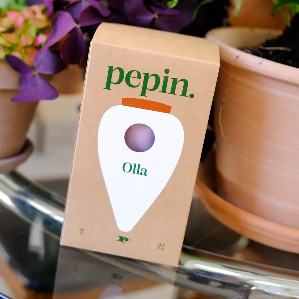 Pepin - Olla - Natural Watering Pots - Green and lilac stripes