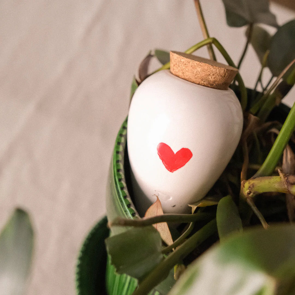 Pepin - Olla - Natural Watering Pots -  Heart