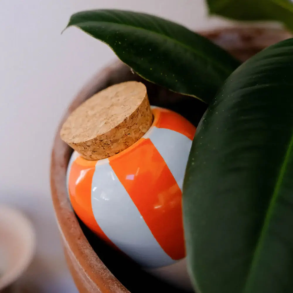 Pepin - Olla - Natural Watering Pots -  Orange and blue stripes