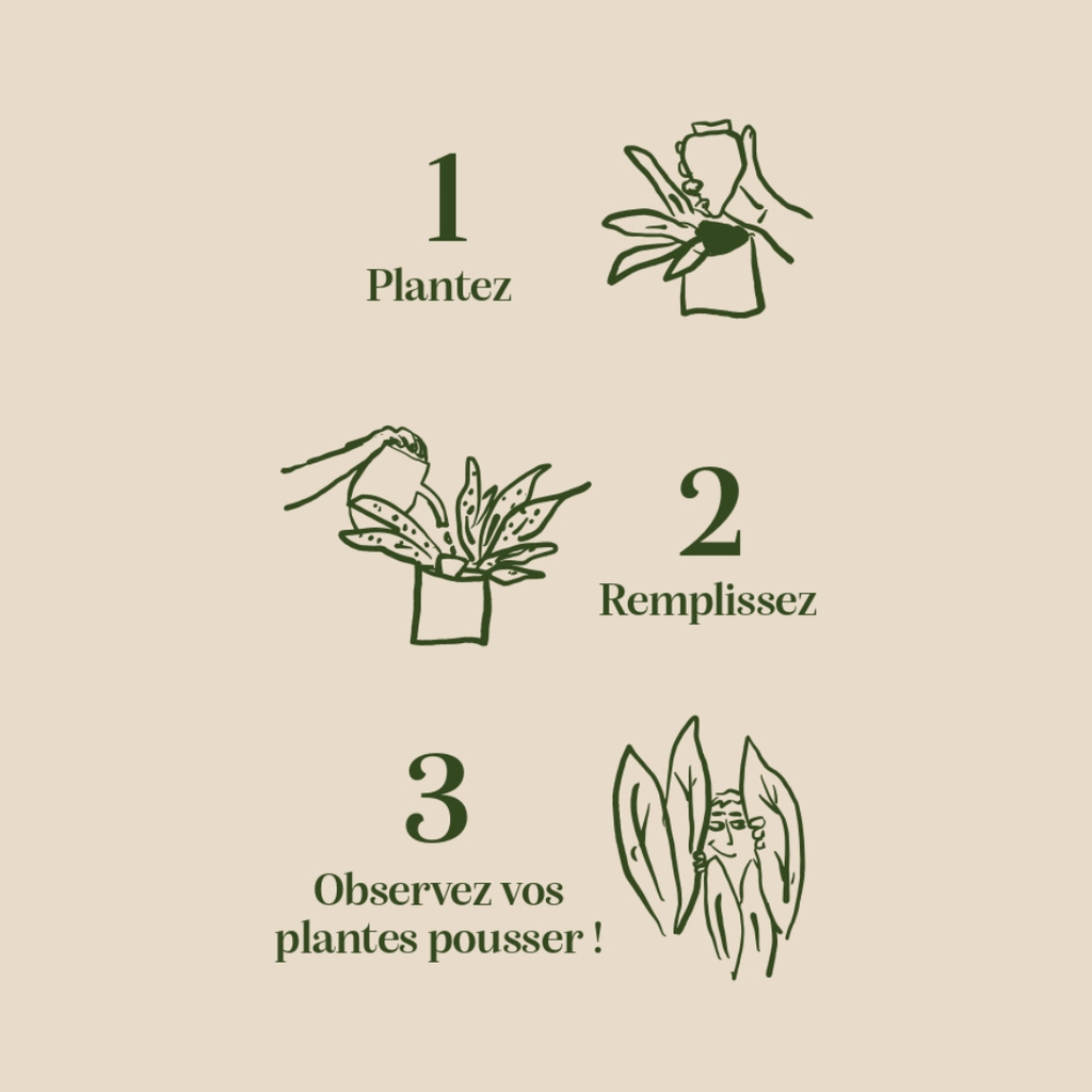 Pepin - Olla - Natural Watering Pots -  Leopard