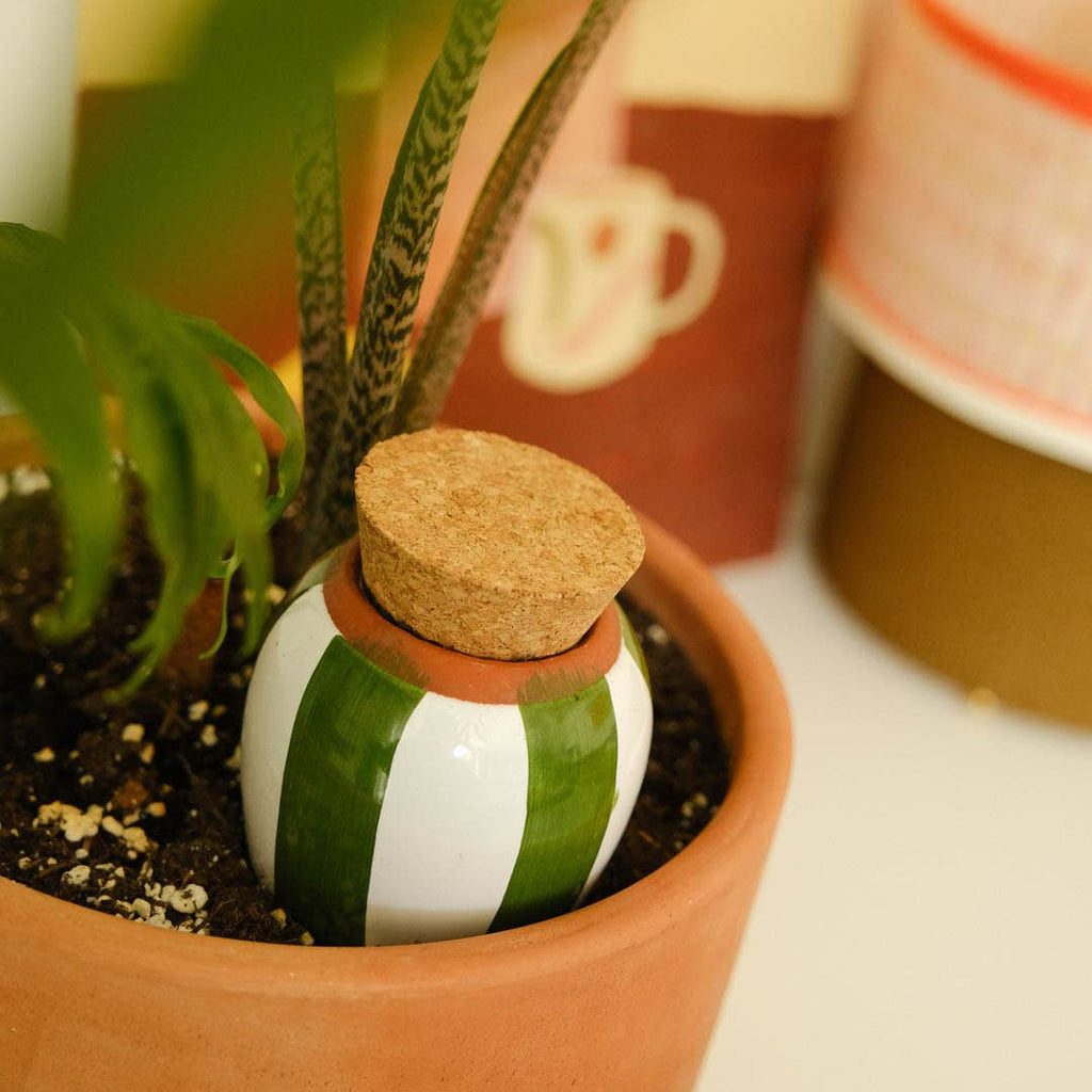Pepin - Olla - Natural Watering Pots -  Green and ivory stripes