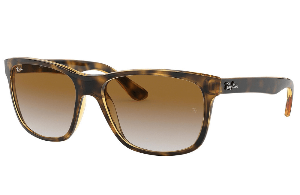 Ray-Ban RB4181 Sunglasses