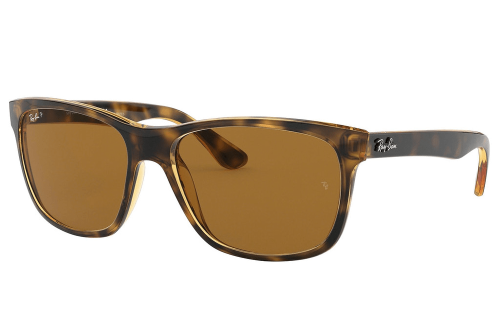 Ray-Ban RB4181 Sunglasses